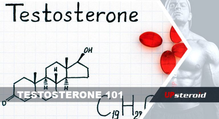 Testosterone 101
