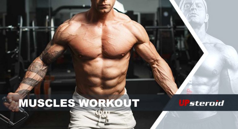 Allenamento muscolare