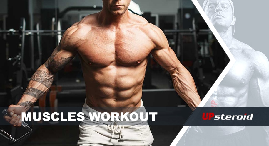 Allenamento muscolare