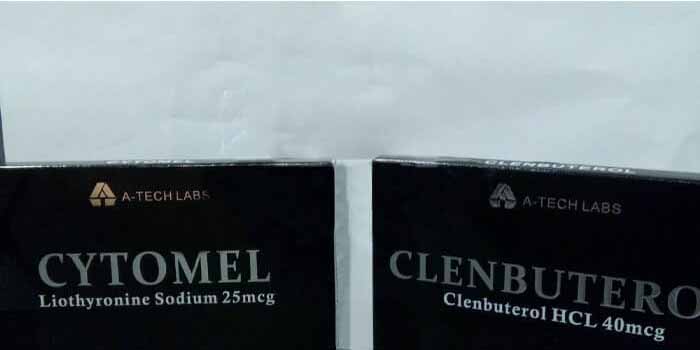 04.11.2019 OLD CONDE, FRANCIA