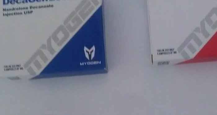 13.11.2019 VAULX EN VELIN FRANCIA