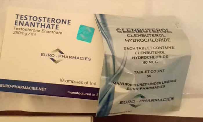 19.11.2019 TOLONA, FRANCIA