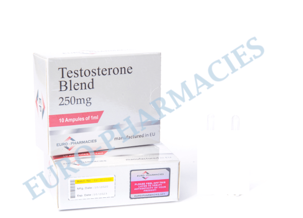 Miscela di testosterone 250 mg fiala europea