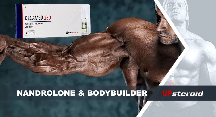 nandrolone bodybuilding up