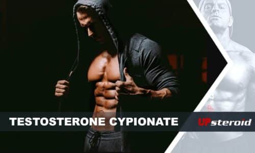 blog sul testosterone cipionato per il bodybuilding