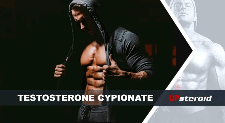 blog sul testosterone cipionato per il bodybuilding