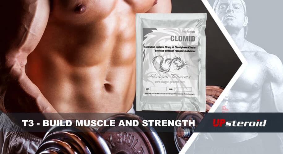 blog up t3 sviluppare la forza muscolare