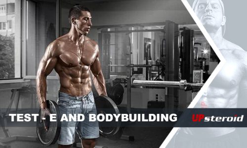 test del blog e bodybuilding