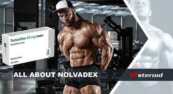 blog su Nolvadex mail