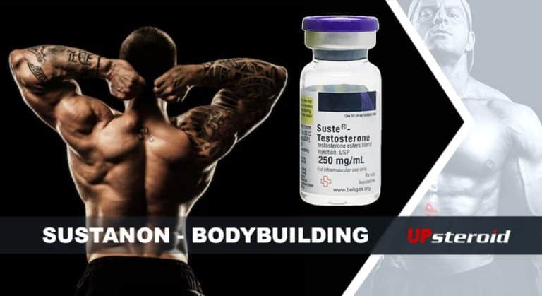 blog susta bodybuilding