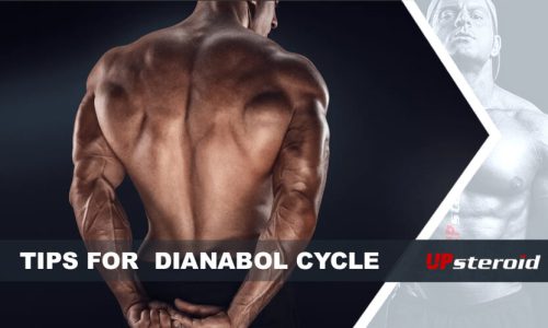 Consigli per il ciclo di Dianabol sul blog