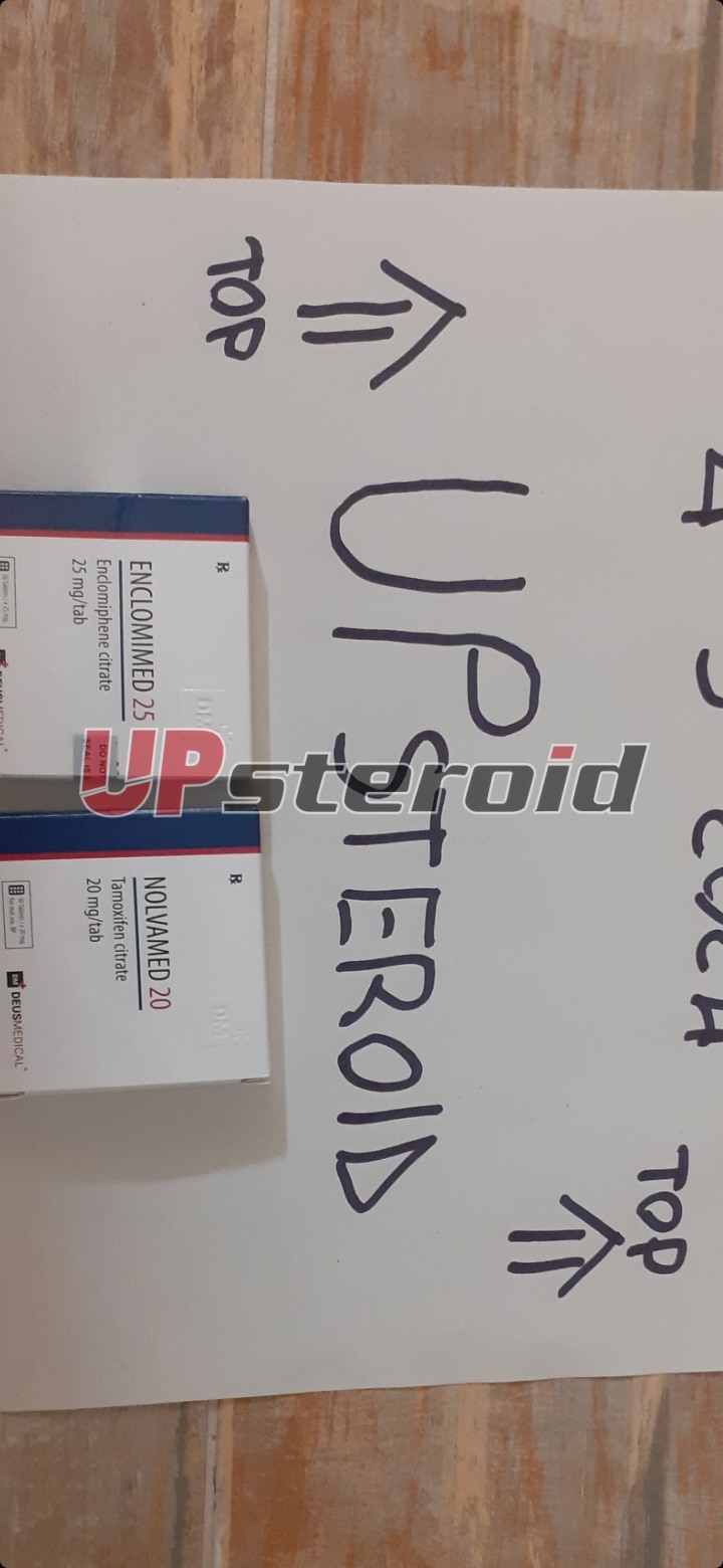 2024 03 04 65e635ce1c044 Screenshot 20240304 215539 Galleria