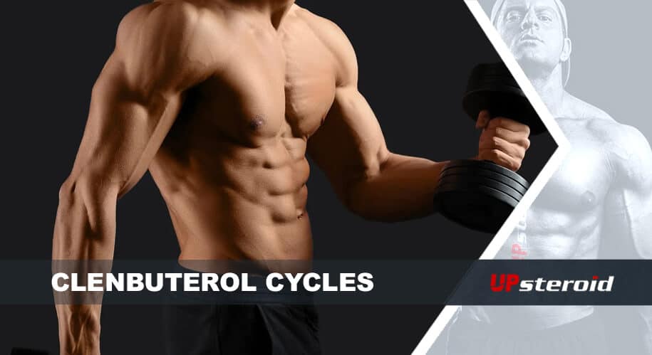 blog su ciclo di Clenbu