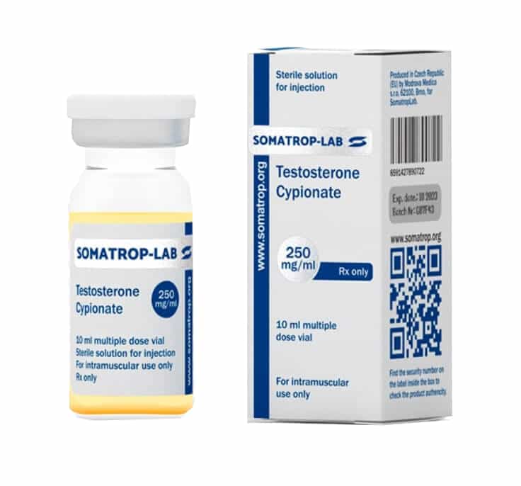testosterone cipionato 250 somatroplab