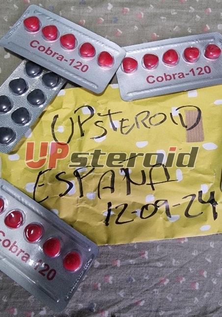 2024 09 12 66e380642c4ba ritocco 2024091301554147