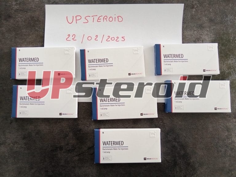 2025 02 25 67bdaf54419d5 Foto1a