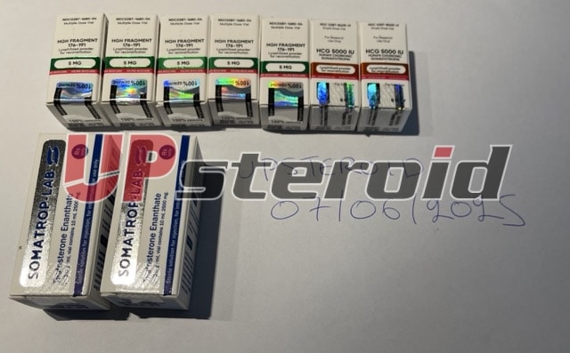 2025 07 07 686bc8c3c46f9 tMedio