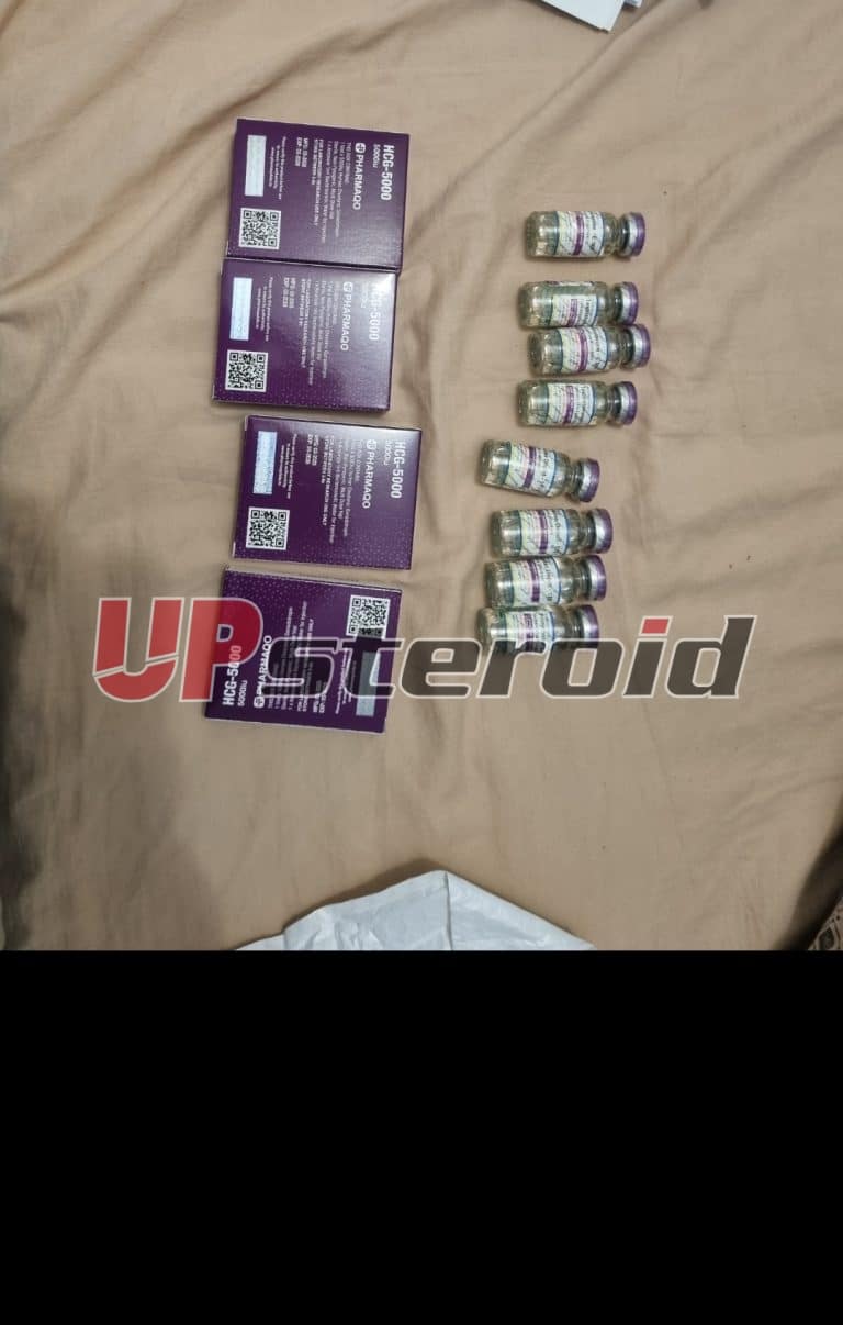 2025 08 04 68913be446f01 Screenshot 20250805 010032 Galleria