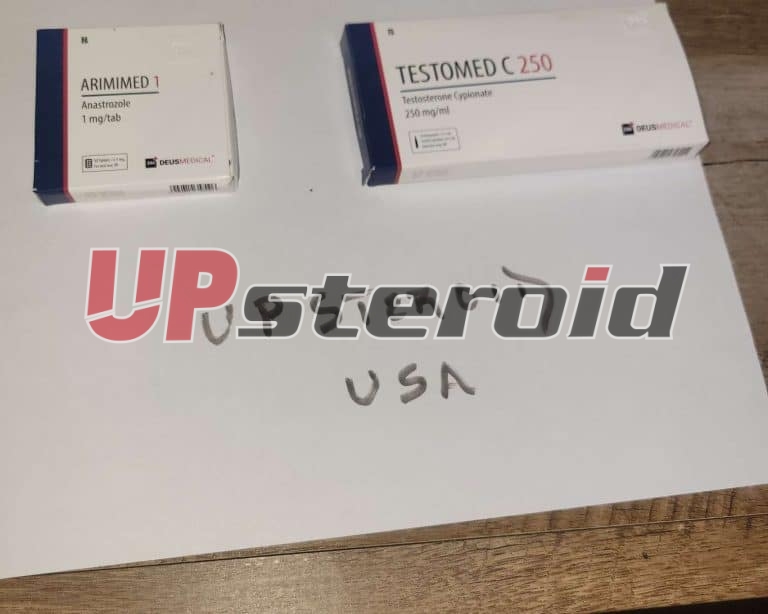 2025 10 31 6904483a59f69 Immagine 2025 10 31 00 24 12