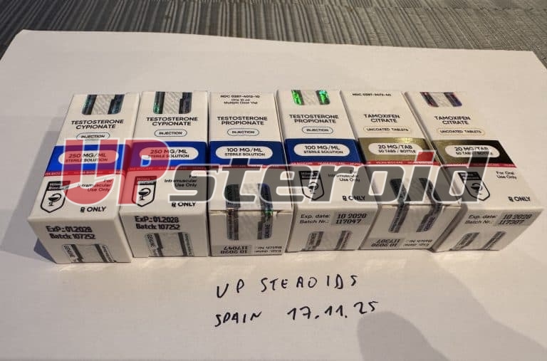 2025 11 24 6924a699ecc1e Photo22 11 25211711