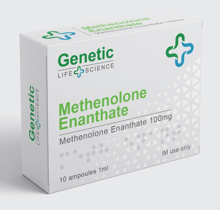 enantato di metenolone genetico