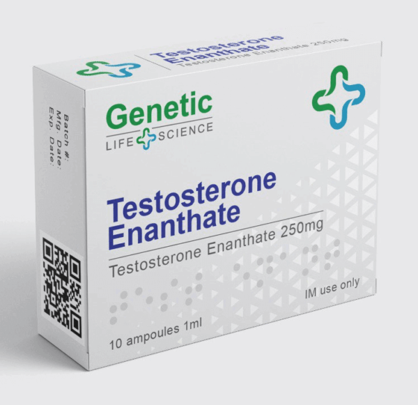 testosterone enantato genetico