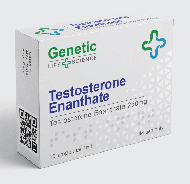 testosterone enantato genetico