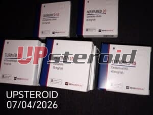 04/08/2026 - Cappel - Francia