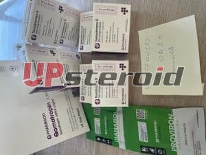 06/02/2026 - Marsiglia - Francia